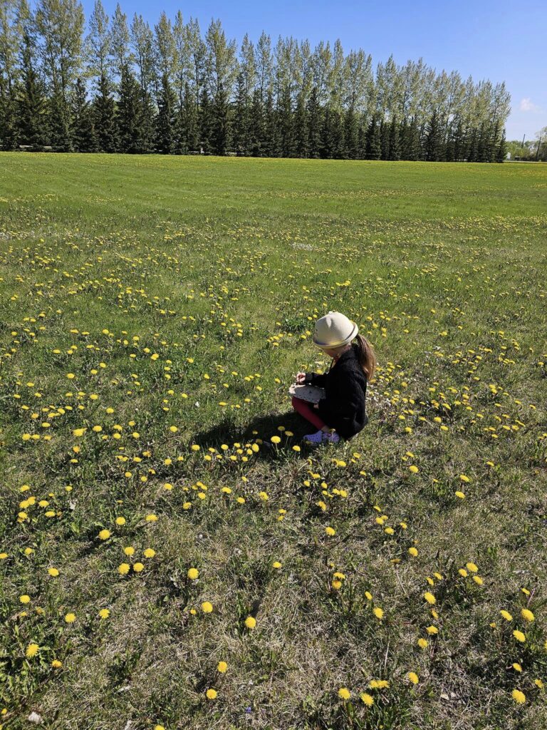 Little girl in a Field of dandelions. 