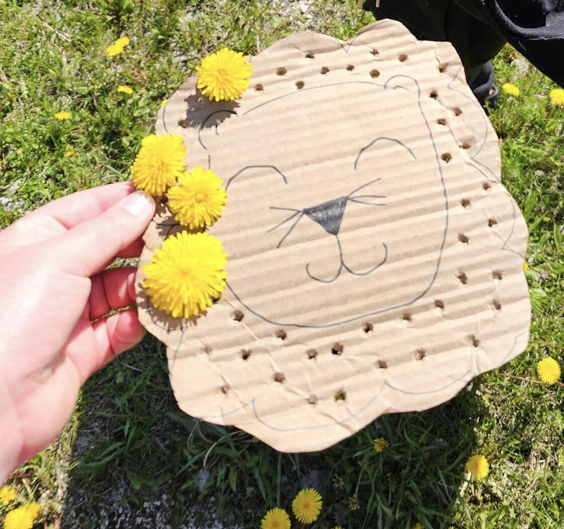 Dandelions being put into holes. 